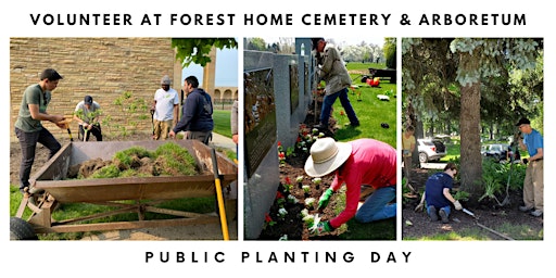 Image principale de Volunteer opportunity:  Public planting day