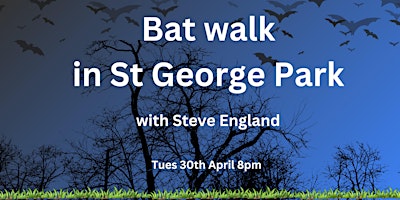 Bat Walk with Steve England (April) primary image