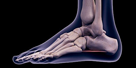 Yale Foot & Ankle Society's  "Trauma of the Foot and Ankle Seminar" primary image