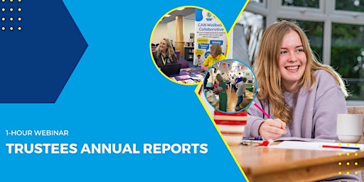 Primaire afbeelding van Trustee's Annual Reports