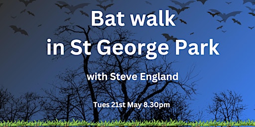 Bat Walk with Steve England (May) primary image