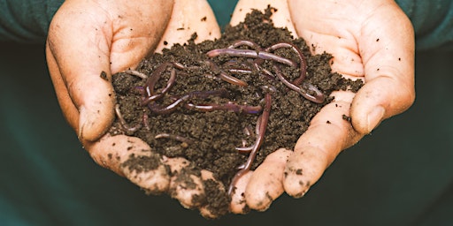 Primaire afbeelding van Everyday Composting Seminar