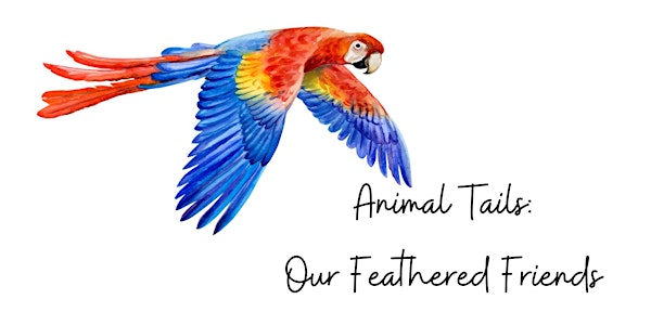 Animal Tails: Our Feathered Friends