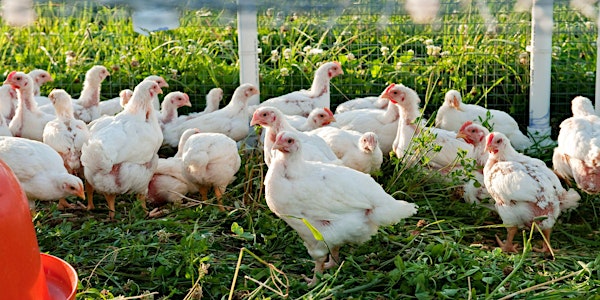 Poultry Processing Workshop