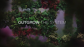Primaire afbeelding van Reel to Real X DG Climate Hub: Outgrow the System