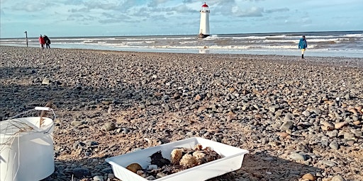 Hauptbild für Shoresearch - a family friendly event at Talacre