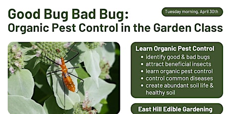 Good Bug Bad Bug: Organic Pest Control in the Garden, Tuesday morning