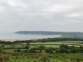 Port Eynon to Oxwich Circular - Members Only primary image