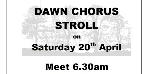 DAWN CHORUS STROLL primary image