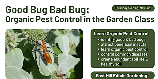 Primaire afbeelding van Good Bug Bad Bug: Organic Pest Control in the Garden, Thursday evening