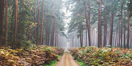 How a changing climate changes our minds, brains and bodies