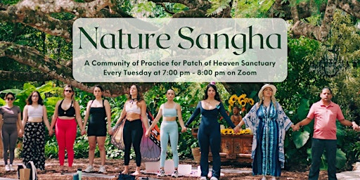 Imagen principal de Nature Sangha