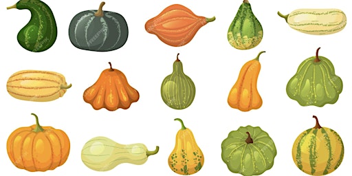 Imagen principal de Successful Gardener - Growing the Cucurbit (Squash) Family