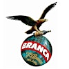 Logo di FRATELLI BRANCA DISTILLERIE S.p.A.