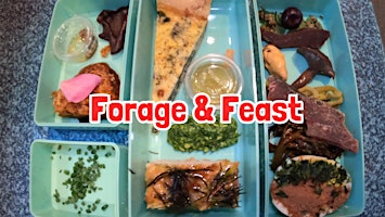 Primaire afbeelding van FORAGE & FEAST at Kiplin Hall,  Yorkshire