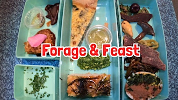 FORAGE & FEAST near Oswestry primary image