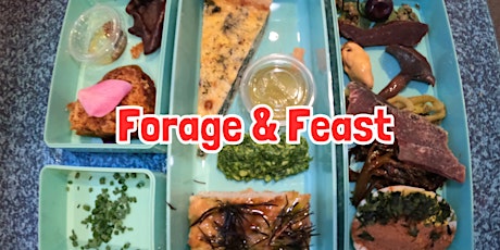 FORAGE & FEAST in The Forest Of Dean