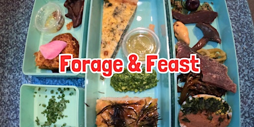 FORAGE & FEAST near Bakewell primary image
