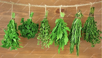Successful Gardener - Fresh & Dried Herbs from the Garden  primärbild