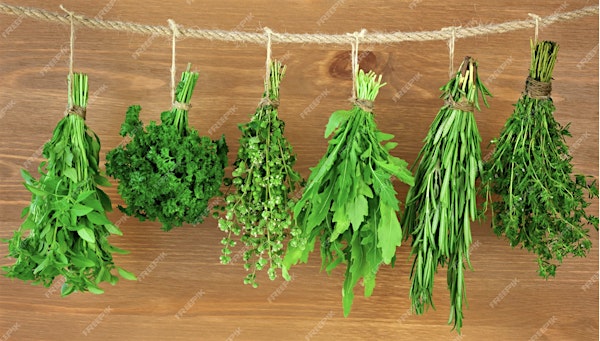 Successful Gardener - Fresh & Dried Herbs from the Garden