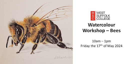 Primaire afbeelding van Watercolour Workshop For Beginners - Bees (Friday Morning)