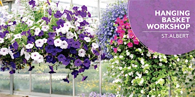 Hauptbild für Hanging Basket | Salisbury Greenhouse | Enjoy Centre | St. Albert