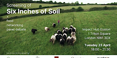 Immagine principale di Six Inches of Soil Screening and panel debate 