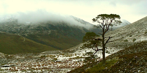 Immagine principale di Climate, environment and cultural change in medieval/early modern Scotland 