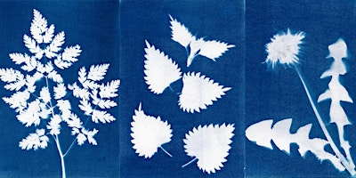 Walk & Cyanotype primary image