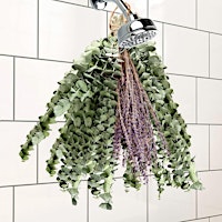 Immagine principale di Make and Take : Aromatherapy Shower Bundle 