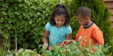 Growing Gardeners