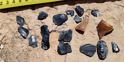 Immagine principale di Prehistoric Obsidian Acquisition and Exchange in West-Central Arizona 