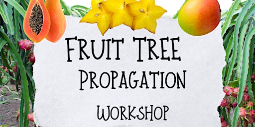 Fruit Tree Propagation Workshop primary image