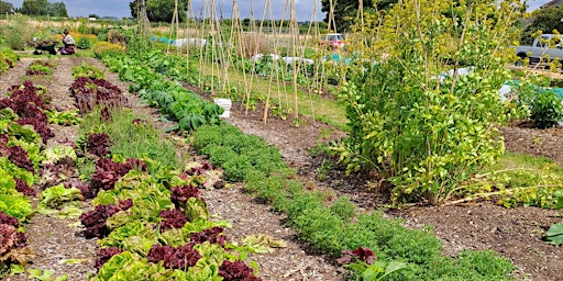 Green Shoots Children's Gardening Club primary image