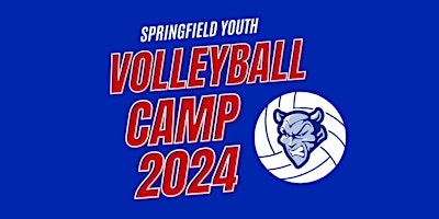 Springfield Youth Volleyball Camp primary image