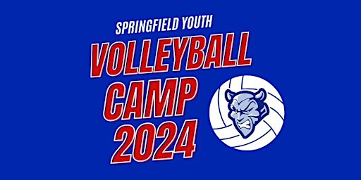 Hauptbild für Springfield Youth Volleyball Camp