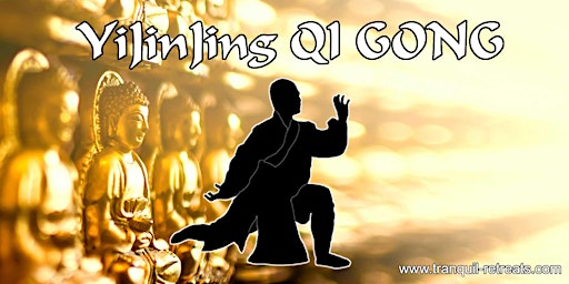 Imagem principal de QI GONG - Online LIVE classes - YiJinJing (Muscle Tendon Change) QiGong