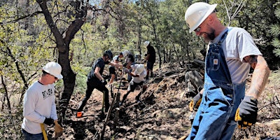 Hauptbild für Volunteer Trail Maintenance in  Apache-Sitgreaves National Forest!