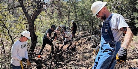 Volunteer Trail Maintenance in  Apache-Sitgreaves National Forest!