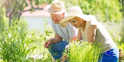 Imagem principal de Social Security & Income Planning Workshop in Stoughton, MA