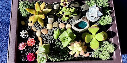 Succulent Sanctuary Class primary image