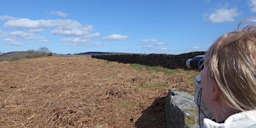 Primaire afbeelding van Walk the Moorlands - Get the Abbey Habit