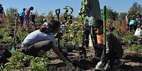 Brampton Earth Day Tree Planting