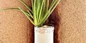 Wall Hanging Succulent Holder primary image