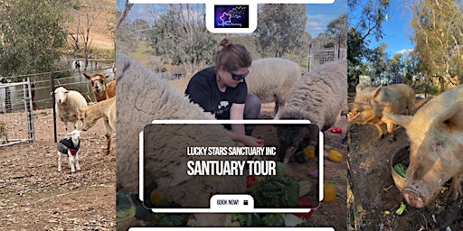 Imagem principal do evento Sanctuary Tour
