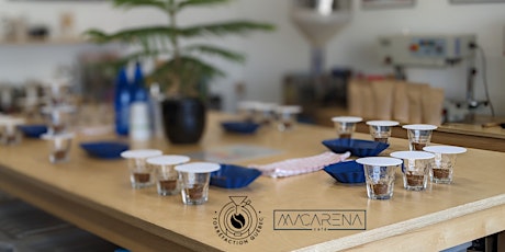 Session de cupping | Cafés Colombiens (Macarena X TorQué)