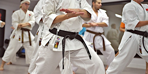 Karate primary image