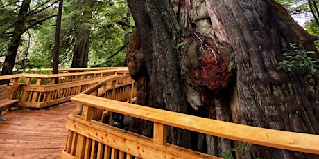 Fat Girls Hiking: Rockaway Cedar Preserve