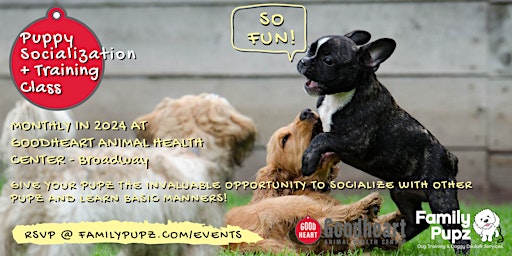 Hauptbild für Puppy Socialization+Training Class @ Goodheart Vet - Broadway (17 weeks+)