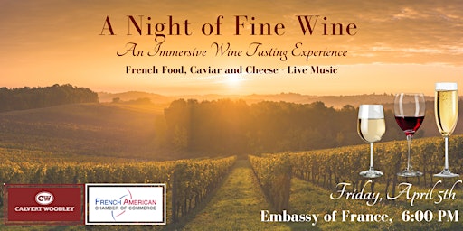 Imagem principal do evento A Night of Fine Wine: An Immersive Wine Tasting Experience